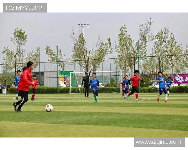 走进足球星园探索绿茵魅力与青少年成长之路